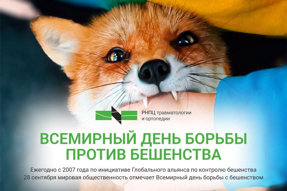 28 сентября – Всемирный день борьбы против бешенства