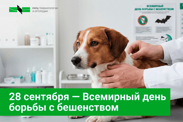 28 сентября — Всемирный день борьбы с бешенством